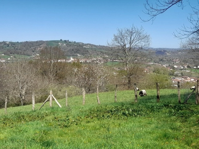 Photos 17 - Prestige - Propriete à vendre 7 pièces SARE (64)