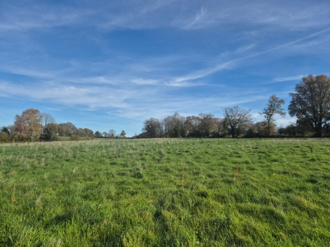 Photos 1 - Foncière - Terrain à vendre  ORSENNES (36)