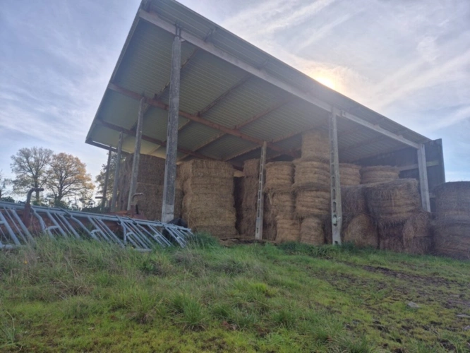 Photos 5 - Foncière - Terrain à vendre  ORSENNES (36)