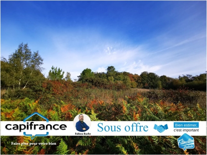 Photos 1 - Land - À vendre – Terrain de 20 000 m² avec bois, prairie et arbres fruitiers GUER (56)
