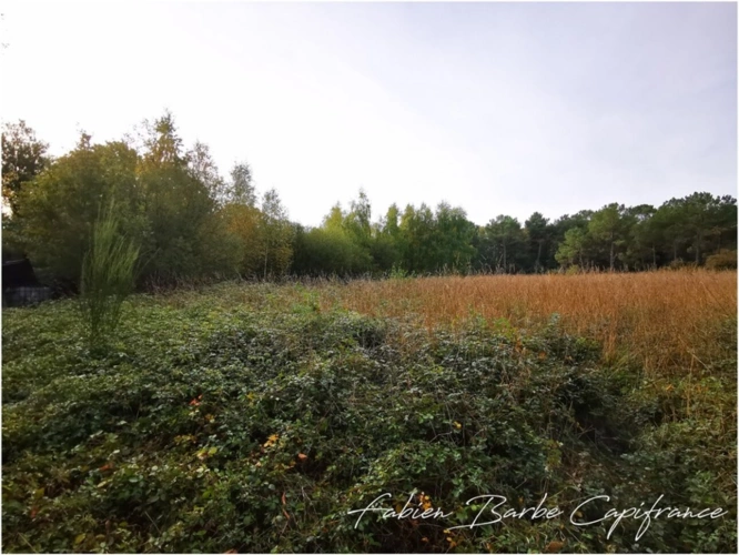 Photos 3 - Land - À vendre – Terrain de 20 000 m² avec bois, prairie et arbres fruitiers GUER (56)