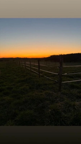 Photos 7 - Équestre - Maisons et installations équestre  (54610 Eply)