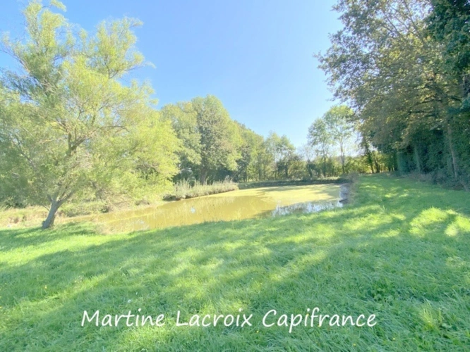 Photos 2 - Prestige - Dpt SARTHE (72), à vendre CORMES - PROPRIÉTÉ  P8 de 226 m² - Terrain de 2,50 Ha