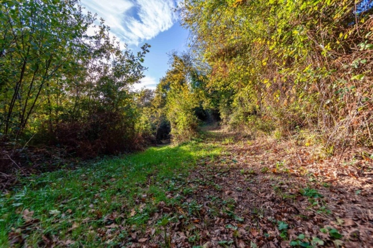 Photos 9 - Forestière - Terrain à vendre de 10 077,00 m² IDRON (64)