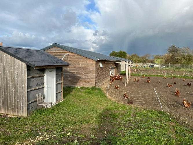 Photos 3 - Agricole - Ferme Avicole, production et vente en direct d'œufs bio et pâtes fraîches