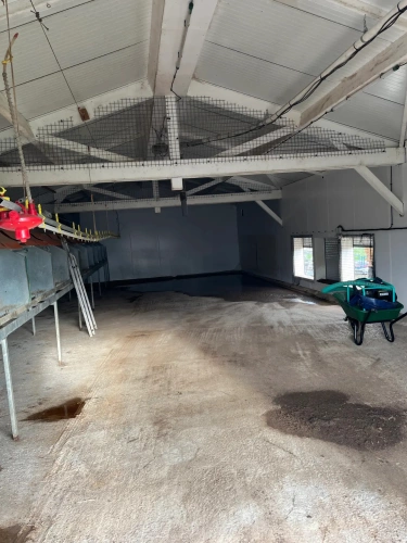 Photos 6 - Agricole - Ferme Avicole, production et vente en direct d'œufs bio et pâtes fraîches