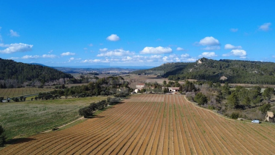 Photos 1 - Viticole - Propriété viticole