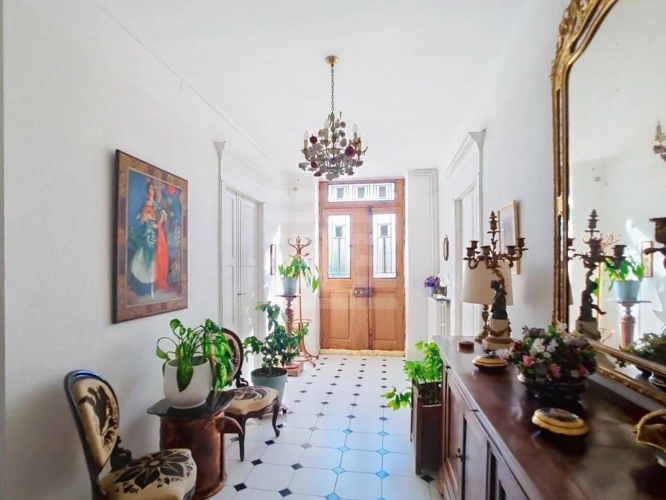 Photos 14 - Viticole - Propriété viticole