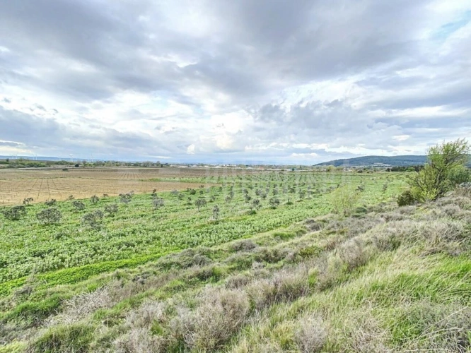 Photos 2 - Foncière - Terrain agricole