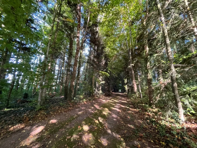 Photos 3 - Tourist - House on large wooded park and farmhouse, all on 2.3 ha