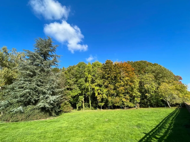 Photos 5 - Tourist - House on large wooded park and farmhouse, all on 2.3 ha