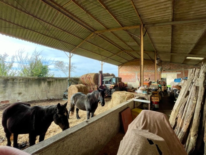 Photos 30 - Prestige - Hameau Authentique T15 à vendre, avec Maison et 6 logements indépendants et une vue panoramique-Saint-Vincent-Lespinasse (82)