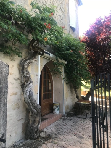 Photos 5 - Touristique - Domaine à vendre au cœur des Amognes