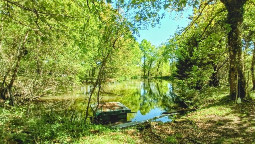 Photos 10 - Prestige - Maison