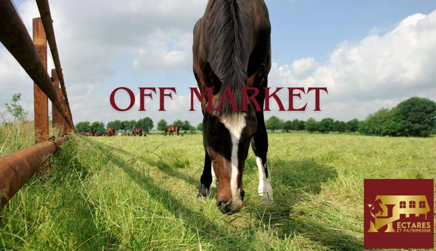 Photos 1 - Équestre - Domaine équestre + de 30 hectares