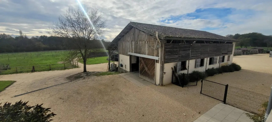 Photos 16 - Équestre - Trés belle propriété isolée et ses 23 hectares de terres agricoles groupées
