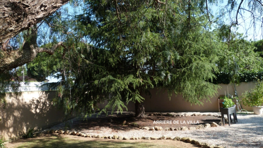 Photos 22 - Prestige - Propriete à vendre 5 pièces PERPIGNAN (66)