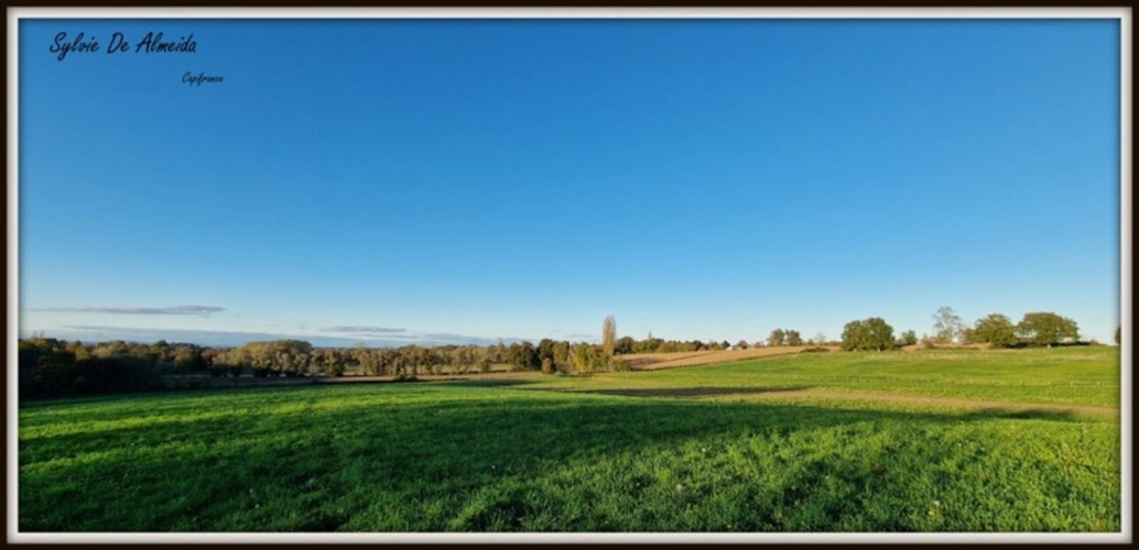 Photos 20 - Touristique - Propriété à vendre PONT DE VEYLE (01) 16,5 Hec,vue,maison 145 m²,ferme à rénover 170 m²,pigeonnier,hangar,équestre