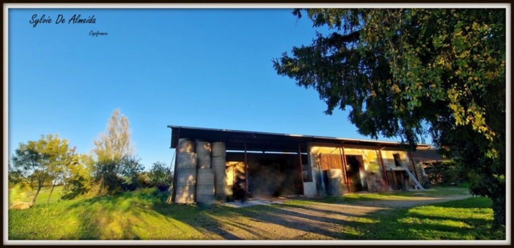 Photos 21 - Touristique - Propriété à vendre PONT DE VEYLE (01) 16,5 Hec,vue,maison 145 m²,ferme à rénover 170 m²,pigeonnier,hangar,équestre