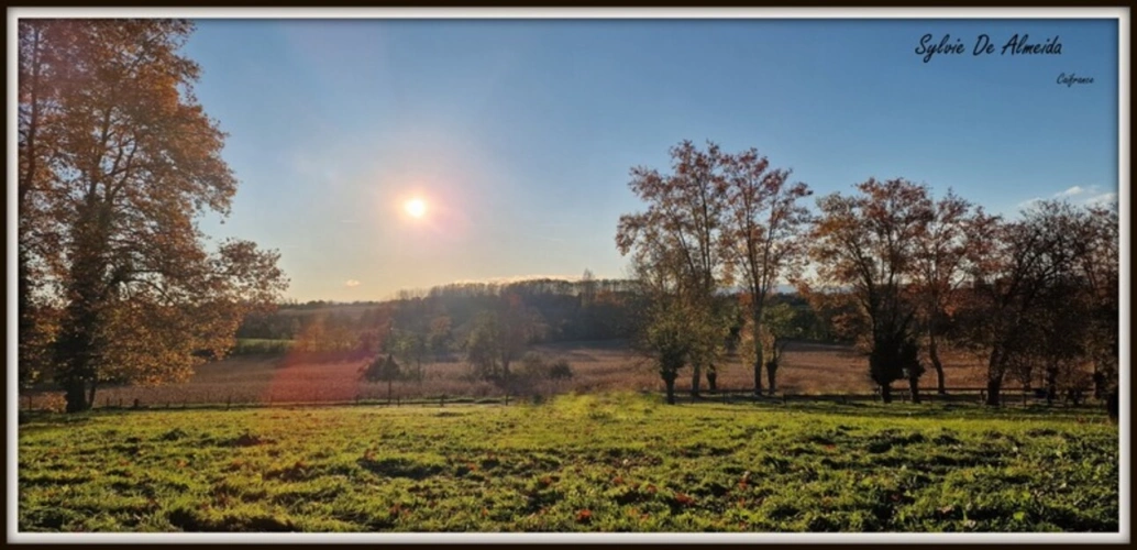 Photos 22 - Touristique - Propriété à vendre PONT DE VEYLE (01) 16,5 Hec,vue,maison 145 m²,ferme à rénover 170 m²,pigeonnier,hangar,équestre