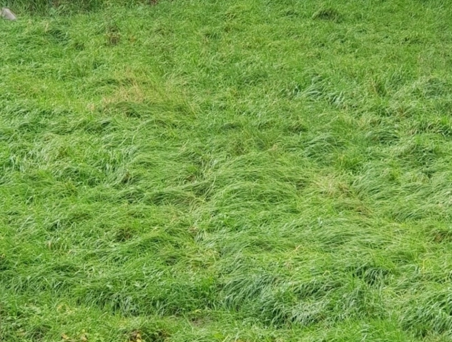 Photos 1 - Foncière - Dpt Vosges (88), à vendre MIRECOURT terrain avec ancienne maisonnette à renover et garage