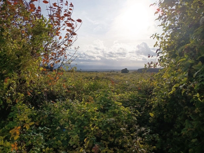 Photos 20 - Touristique - Corps de ferme