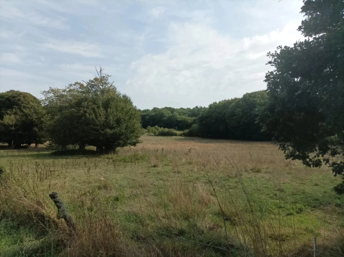 Photos 3 - Agricole - MICRO FERME BIOLOGIQUE à 1H30 au sud de Paris