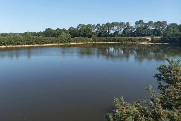 Photos 6 - Agricole - Exploitation agricole en agriculture biologique à fort potentiel - 92 ha de SAU irrigables en propriété