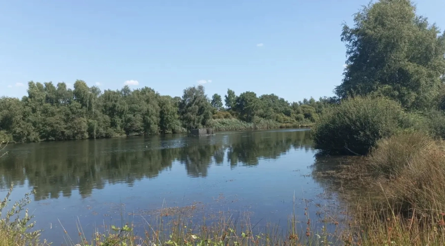 Photos 7 - Agricole - Exploitation agricole en agriculture biologique à fort potentiel - 92 ha de SAU irrigables en propriété