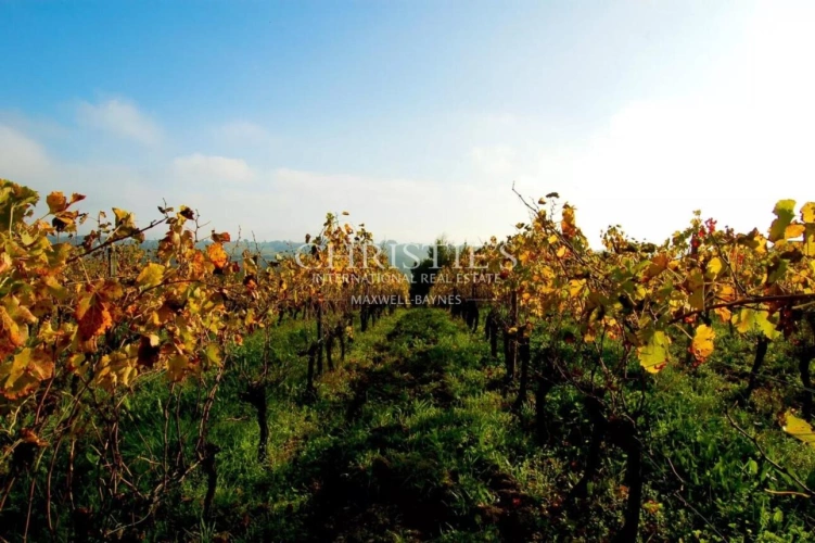 Photos 12 - Prestige - Bordeaux 35 min - Entre-Deux-Mers - Superbe demeure en pierre, - 1,2 ha - piscine