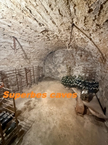 Photos 16 - Prestige - Propriete en pierres de 252 m2, avec dépendances, à COUCHES avec 1186 m2 de terrain