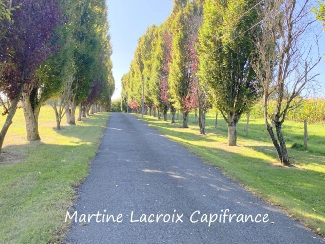 Photos 34 - Équestre - Dpt SARTHE (72), à vendre CORMES - PROPRIÉTÉ  P8 de 226 m² - Terrain de 2,50 Ha