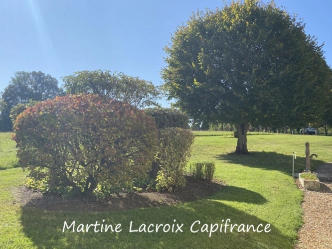 Photos 52 - Équestre - Dpt SARTHE (72), à vendre CORMES - PROPRIÉTÉ  P8 de 226 m² - Terrain de 2,50 Ha