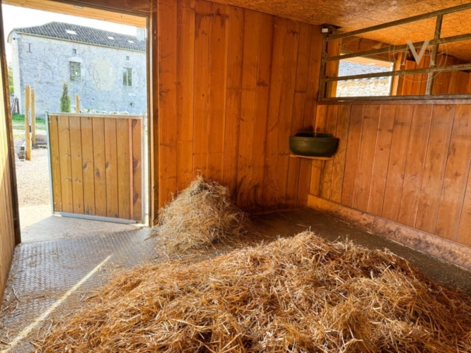 Photos 23 - Équestre - Propriété équestre d’exception implantée sur 21 hectares d’un seul tenant, à proximité de THEZAC (47)