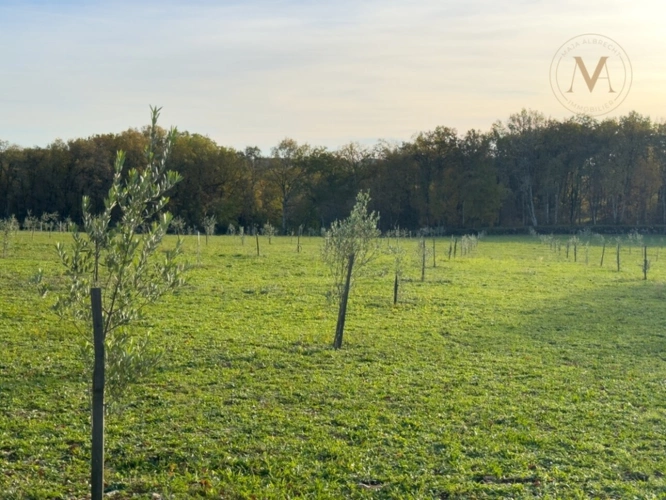 Photos 26 - Équestre - Propriété équestre d’exception implantée sur 21 hectares d’un seul tenant, à proximité de THEZAC (47)