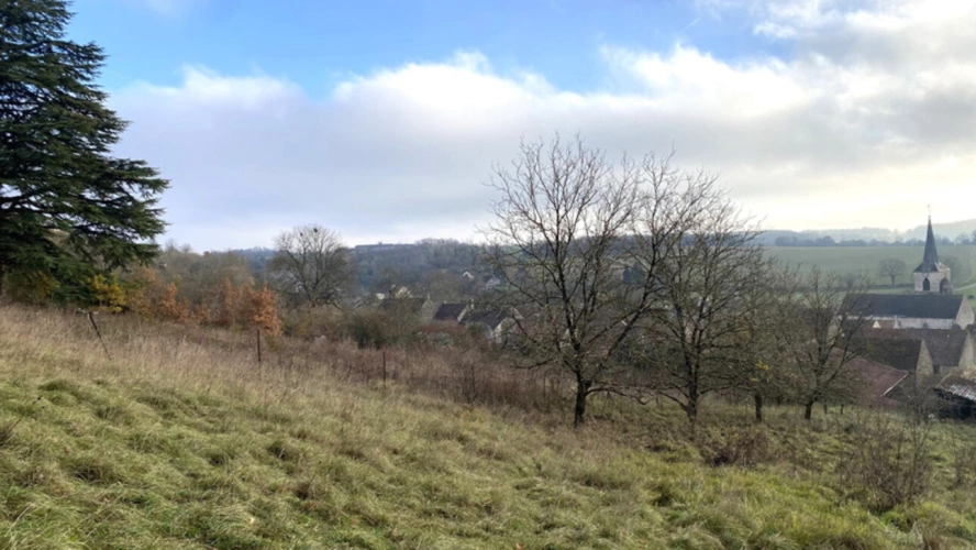 Photos 15 - Tourist - Agricultural property in the heart of a peaceful village for sale, 5 rooms, MASSANGIS (89) - Sheds -