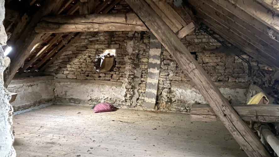 Photos 19 - Tourist - Agricultural property in the heart of a peaceful village for sale, 5 rooms, MASSANGIS (89) - Sheds -