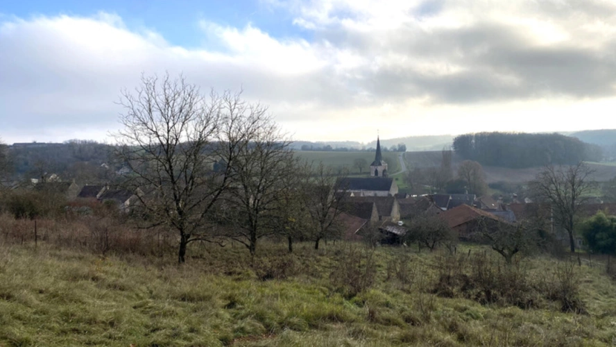 Photos 21 - Tourist - Agricultural property in the heart of a peaceful village for sale, 5 rooms, MASSANGIS (89) - Sheds -