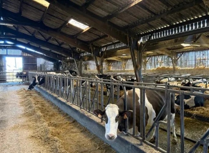 Photos 7 - Agricultural - BRETAGNE – COTES D’ARMOR - EXPLOITATION LAITIERE DE 73 HECTARES.