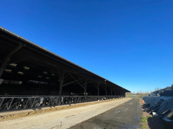 Photos 1 - Agricole - NORMANDIE - MANCHE - EXPLOITATION LAITIERE SPECIALISEE D’ENVIRON 95 HECTARES ET 1.380.000 LITRES.