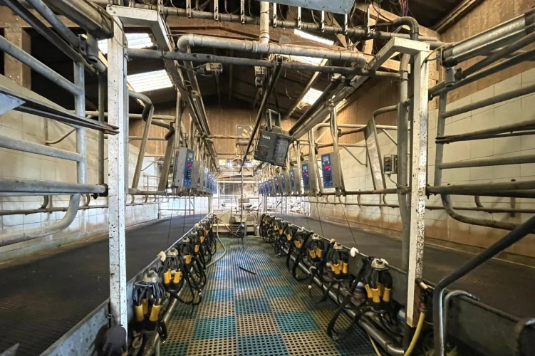 Photos 2 - Agricole - NORMANDIE - MANCHE - EXPLOITATION LAITIERE SPECIALISEE D’ENVIRON 95 HECTARES ET 1.380.000 LITRES.