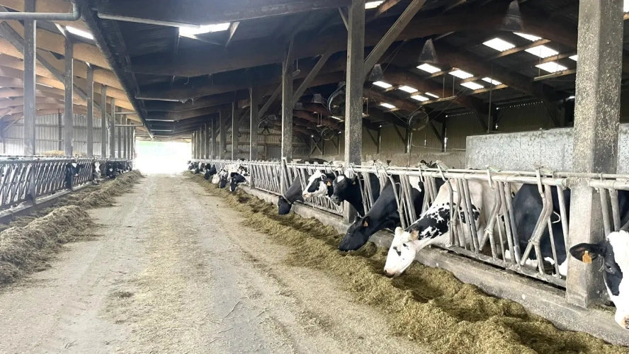 Photos 2 - Agricole - NORMANDIE - CALVADOS - EXPLOITATION LAITIERE SPECIALISEE D’ENVIRON 90 HECTARES ET 1.200.000 LITRES.