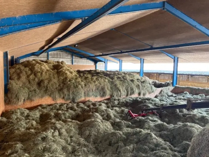 Photos 2 - Agricole - MORBIHAN-EXPLOITATION AGRICOLE LAITIERE BIO D’ENVIRON 160 HECTARES