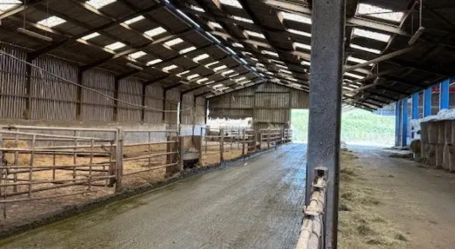 Photos 4 - Agricole - MORBIHAN-EXPLOITATION AGRICOLE LAITIERE BIO D’ENVIRON 160 HECTARES