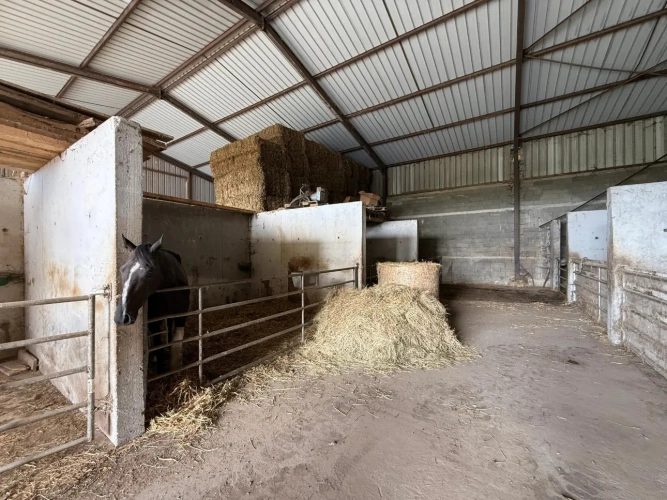Photos 5 - Équestre - MANCHE – PROPRIETE AGRICOLE D’ENVIRON 8.80 HECTARES.