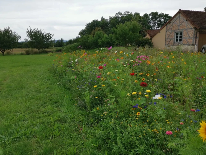 Photos 6 - Prestigious - Ferme Louhannaise XIX: Gîte and Bed and Breakfast