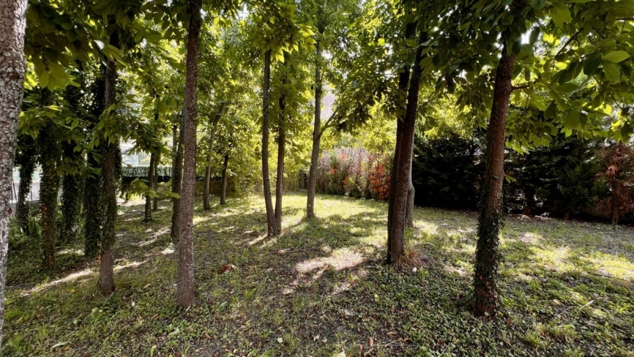 Photos 3 - Prestigious - Provençal country house with large garden - Les Mées