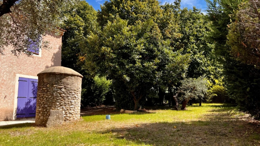 Photos 6 - Prestigious - Provençal country house with large garden - Les Mées