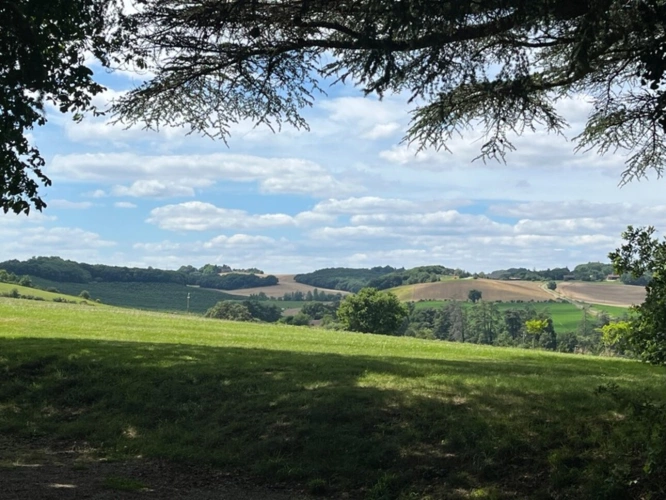 Photos 15 - Équestre - Dpt Gers (32), Proche AUCH - ELEGANTE PROPRIETE GASCONNE sans travaux piscine -4,5HA,- gîtes- chambres d'hôtes - évènementiels