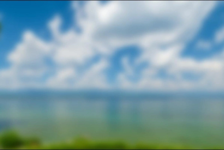 Photos 9 - Prestige - Maison